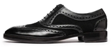 Wingtip Brogue Oxford- Black Suede